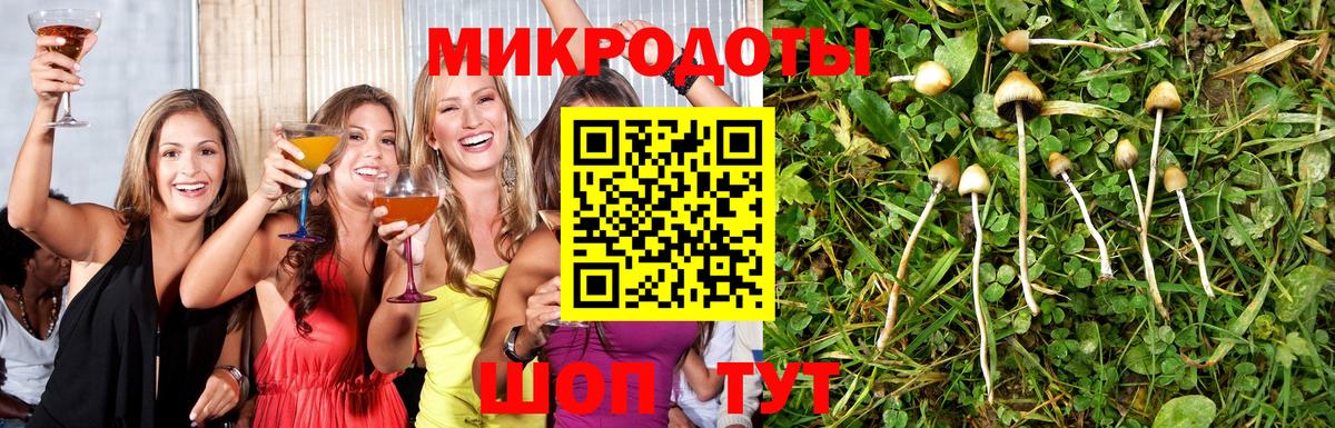 Псилоцибиновые грибы мухоморы Михайловка