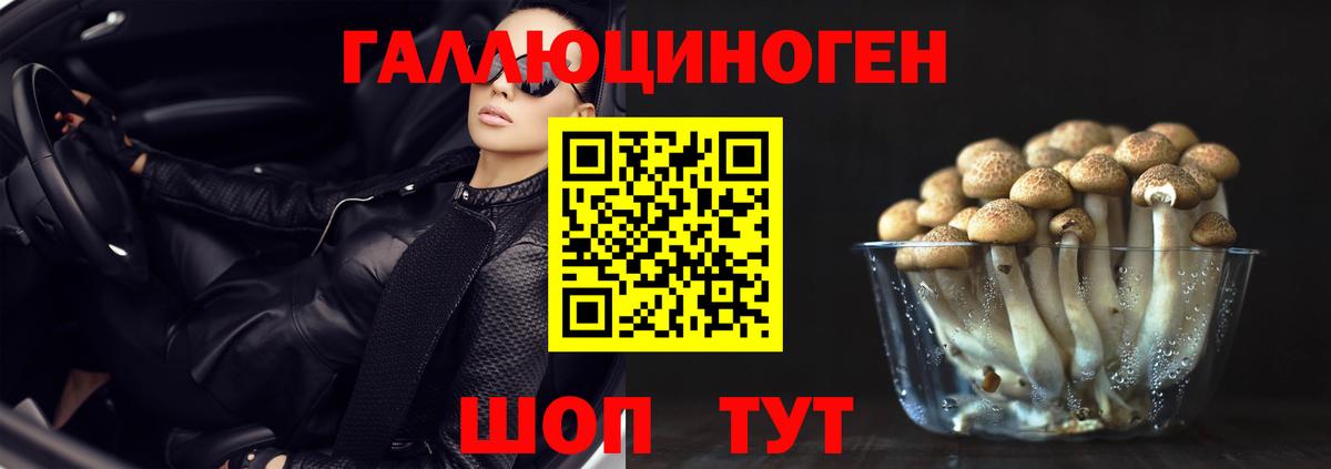 Галлюциногенные грибы Cubensis  Вход с VPN  Михайловка 